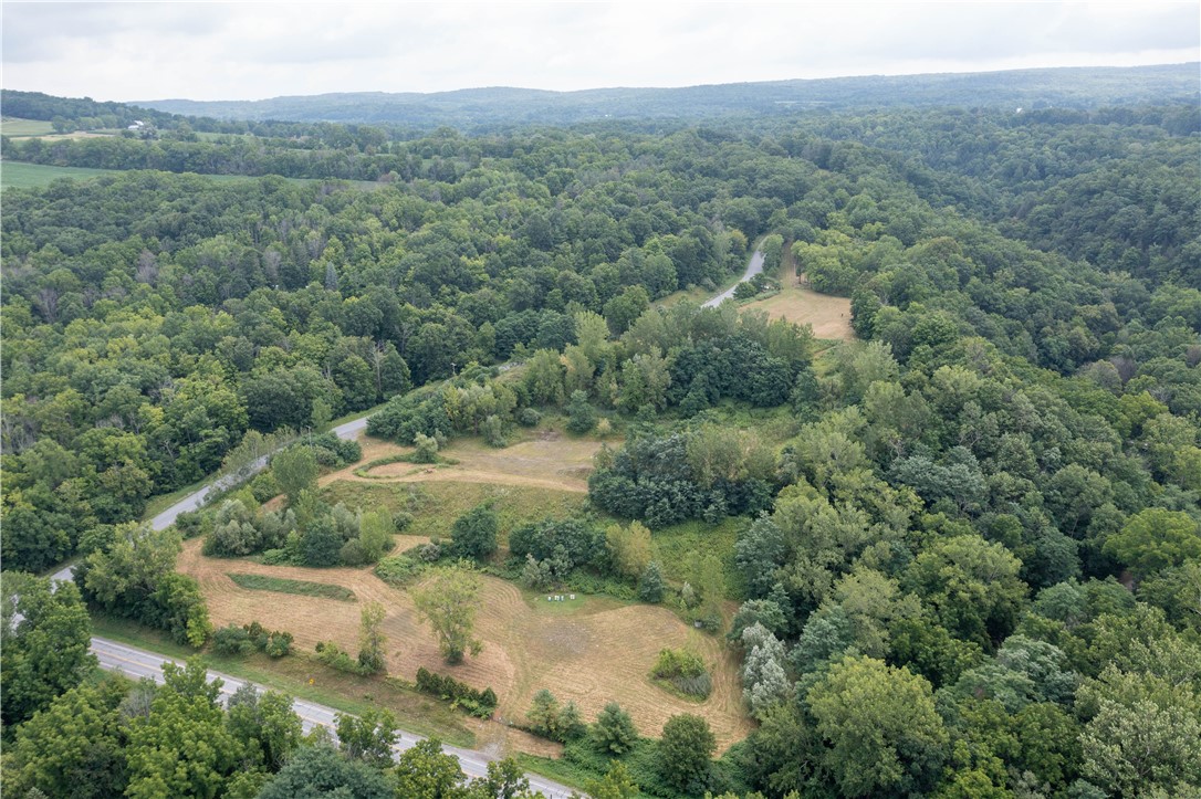 Henderson Hill, Conesus, New York image 3