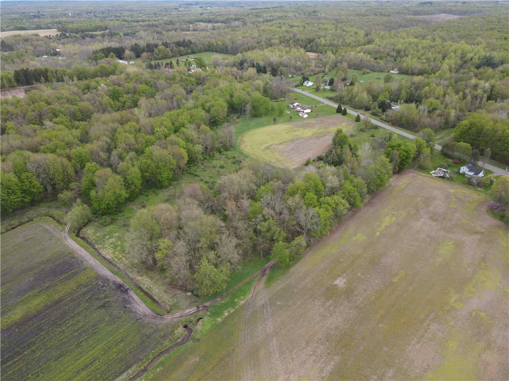13315 Red Creek Road, Wolcott, New York image 3