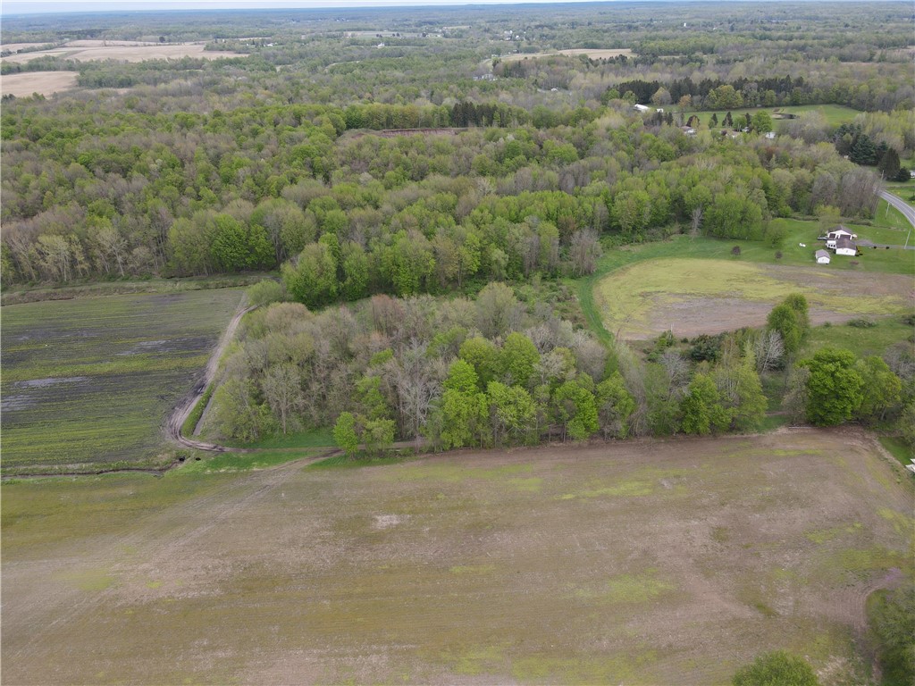 13315 Red Creek Road, Wolcott, New York image 6