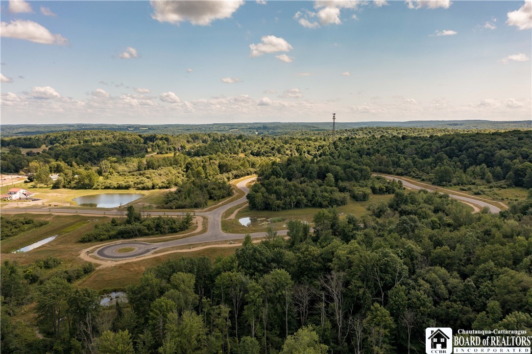 57 Mandolin Ridge, Chautauqua, New York image 7