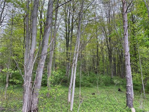 Vacant Land For Sale - Old State Road #104<br/> Cayuga County, Sterling, NY 13156