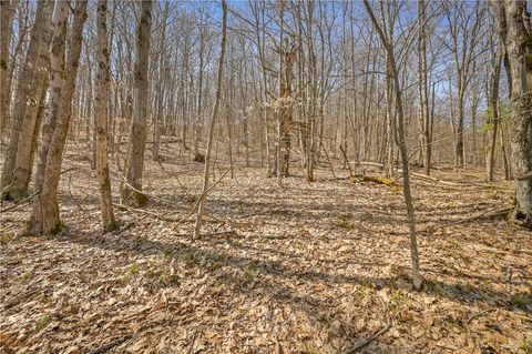 Vacant Land For Sale - L9.114 Lutheranville Road<br/> Summit, NY 12064