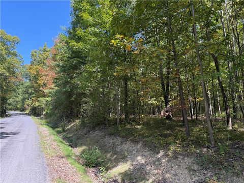 Vacant Land For Sale - Upson Road<br/> Big Flats, NY 14814