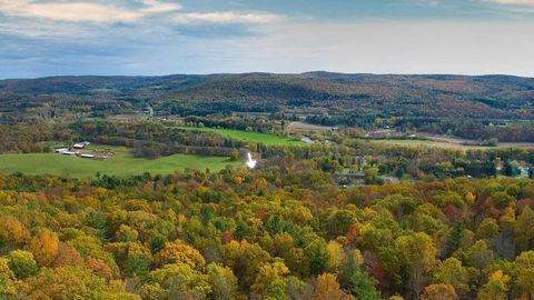 Tiny photo for 845 State Highway 7, Unadilla, NY 13849 (MLS # R1683680)