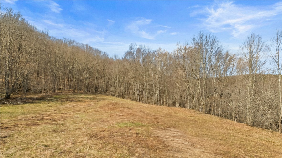 L9.112 Lutheranville Road, Summit, New York image 4