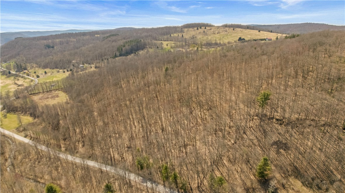 L9.112 Lutheranville Road, Summit, New York image 12