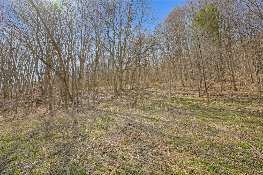 L9.112 Lutheranville Road, Summit, New York image 10