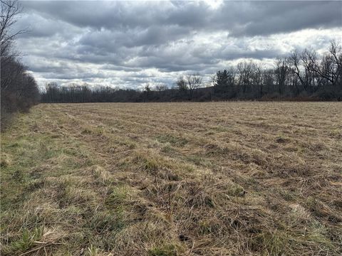 Vacant Land For Sale - Caswell Road<br/> Tompkins County, Dryden, NY 13068