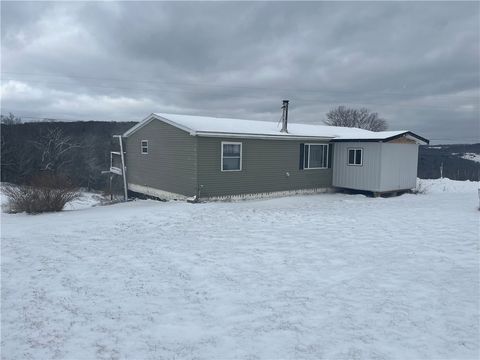 335 Cooper Hill Road Van Etten NY 14889