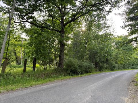 Vacant Land For Sale - Cronk Hill Road<br/> Caneadea, NY 14735