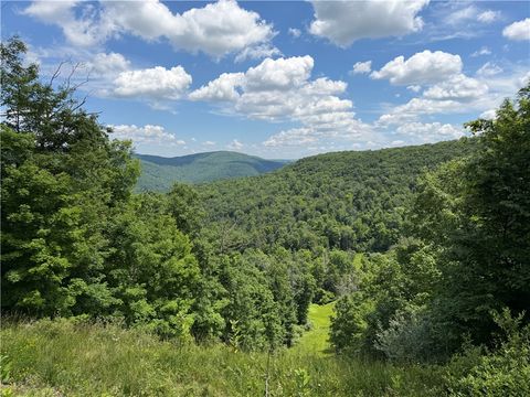 Vacant Land For Sale - VL Catatunk Road #R<br/> Steuben County, Canisteo, NY 14823