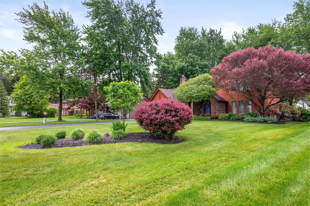 41 Pond Valley Circle, Penfield, New York image 42