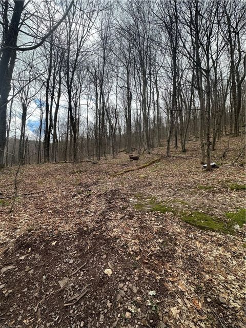 Vacant Land For Sale - Kims Way<br/> Stamford, NY 12167