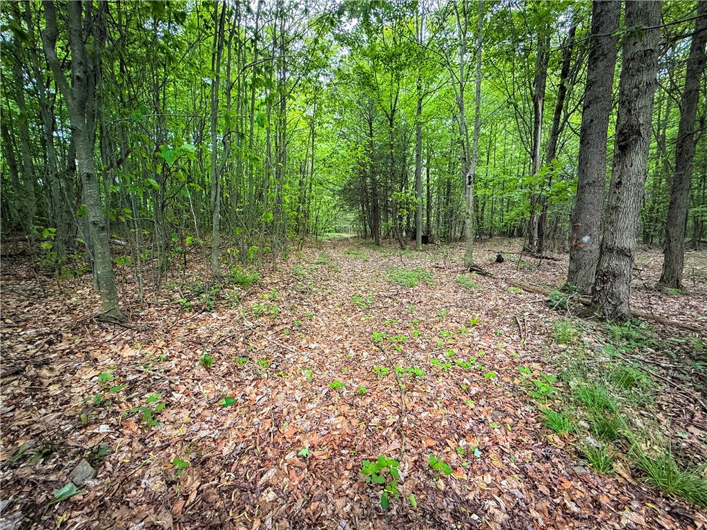 V/L-5 Simcoe Hill Rd Road