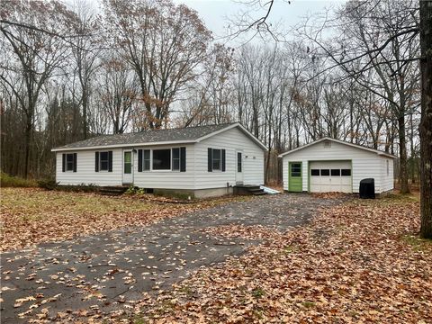 Photo of 98 Rod And Gun Club Road, Franklin, NY 13820 (MLS # R1650233)