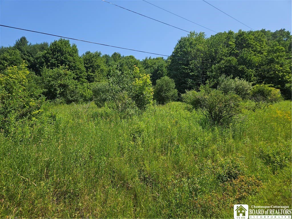 Photo of 0 Bozard Hill Road, Humphrey, NY 14741 (MLS # R1710297)