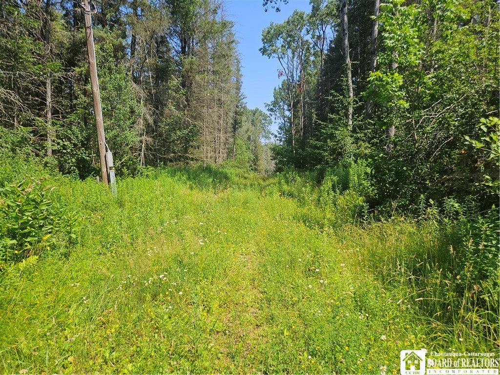 Photo of 0 Bozard Hill Road, Humphrey, NY 14741 (MLS # R1710297)