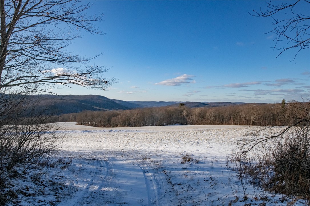 1 Herklotz Road, Franklin, New York image 9