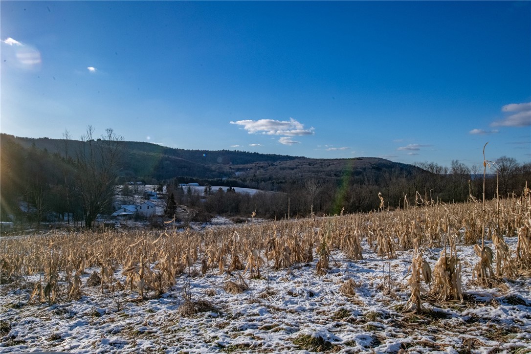 1 Herklotz Road, Franklin, New York image 7