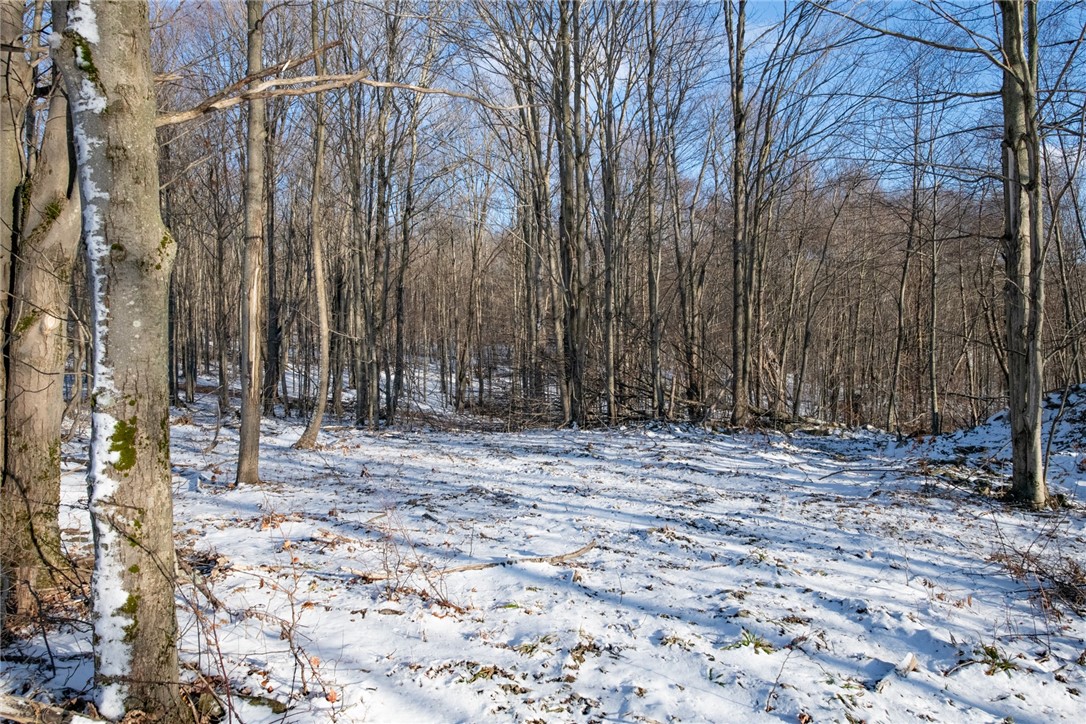 1 Herklotz Road, Franklin, New York image 8