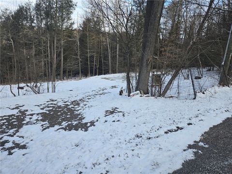 Vacant Land For Sale - 7101 Boot Jack Road<br/> Steuben County, Bath, NY 14810