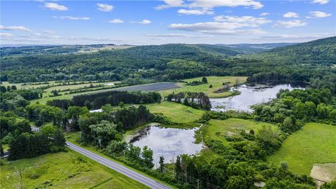 2100-2102 County Road 16 Watkins Glen NY 14891