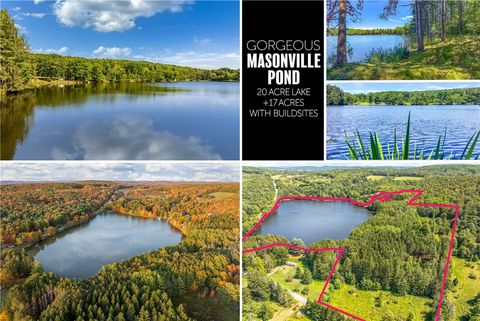 Vacant Land For Sale - Masonville Pond Cummings Road<br/> Masonville, NY 13839