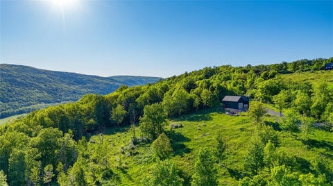 Vacant Land For Sale - 10.10 Cheese Hill Road<br/> Rensselaerville, NY 12147