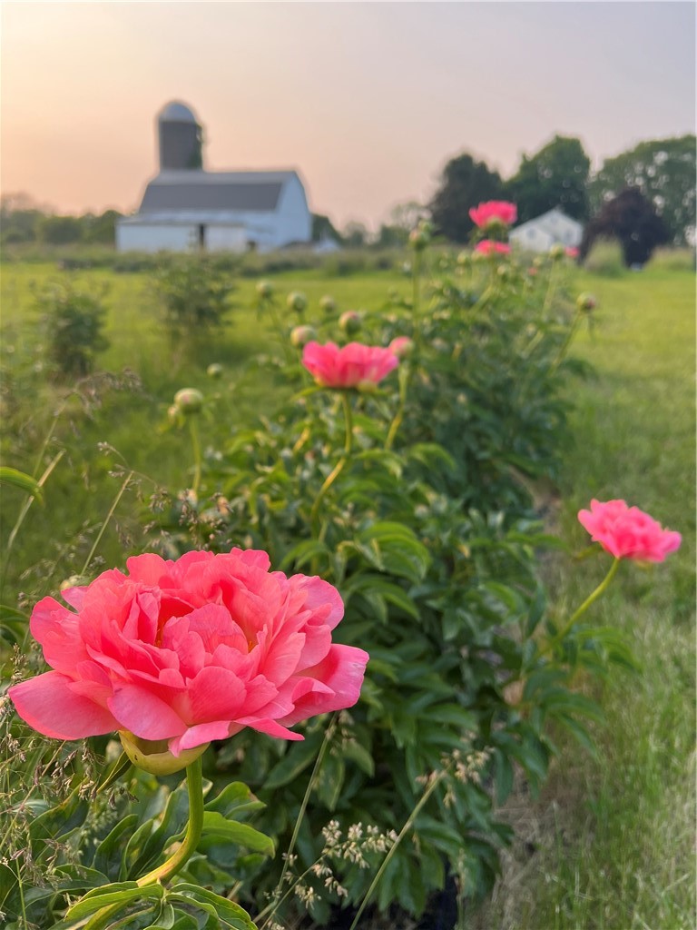 8361 State Route 5 And 20