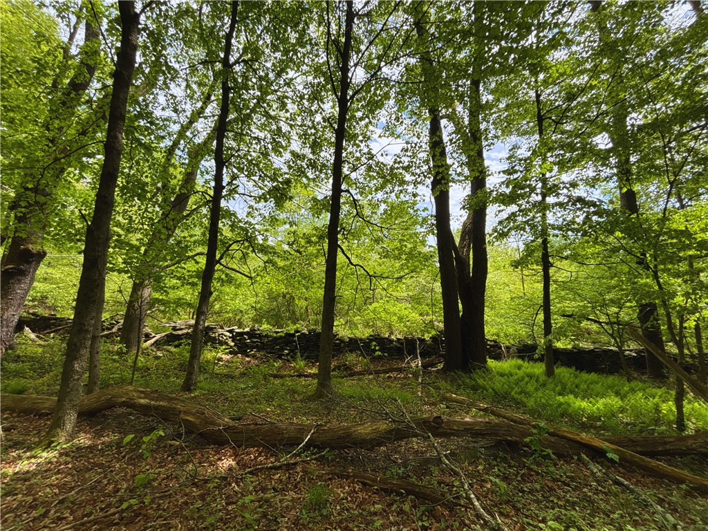 Lot 6.2 Launt Hollow Road, Hamden, New York image 30