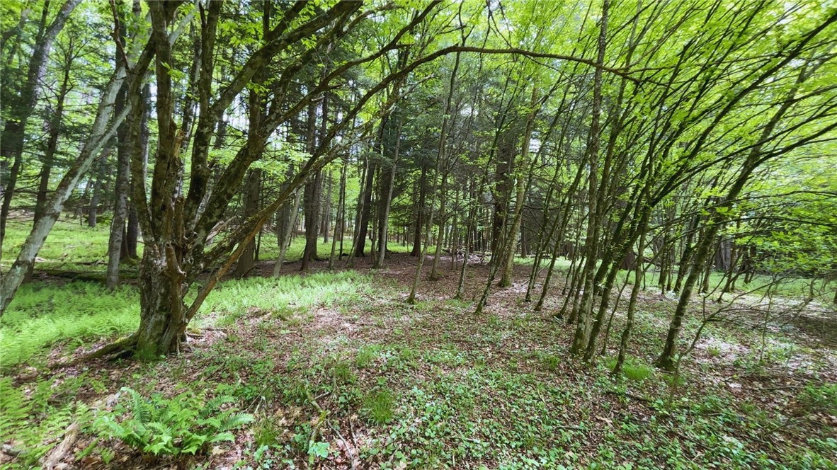 Lot 6.2 Launt Hollow Road, Hamden, New York image 37