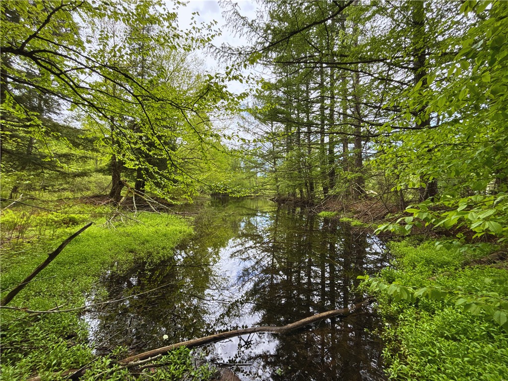 Lot 6.2 Launt Hollow Road, Hamden, New York image 16