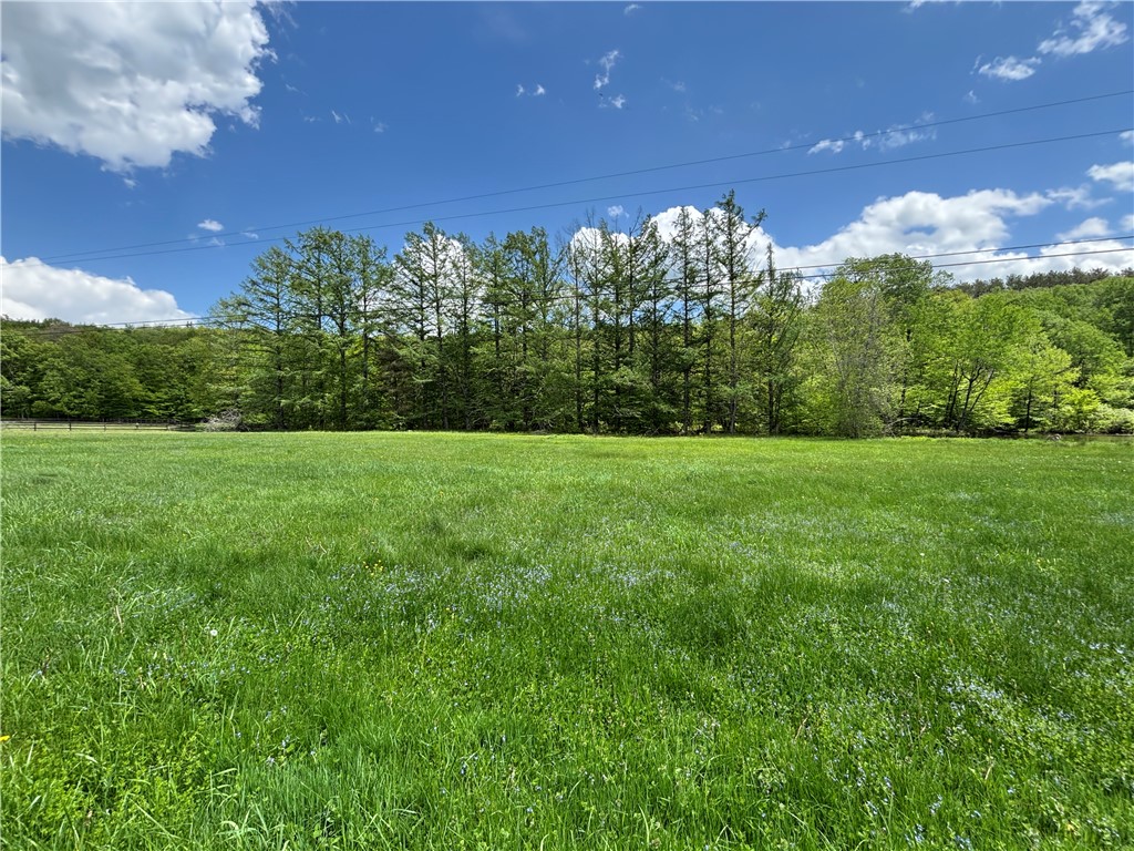 Lot 6.2 Launt Hollow Road, Hamden, New York image 7