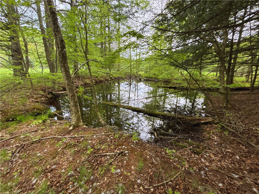 Lot 6.2 Launt Hollow Road, Hamden, New York image 17