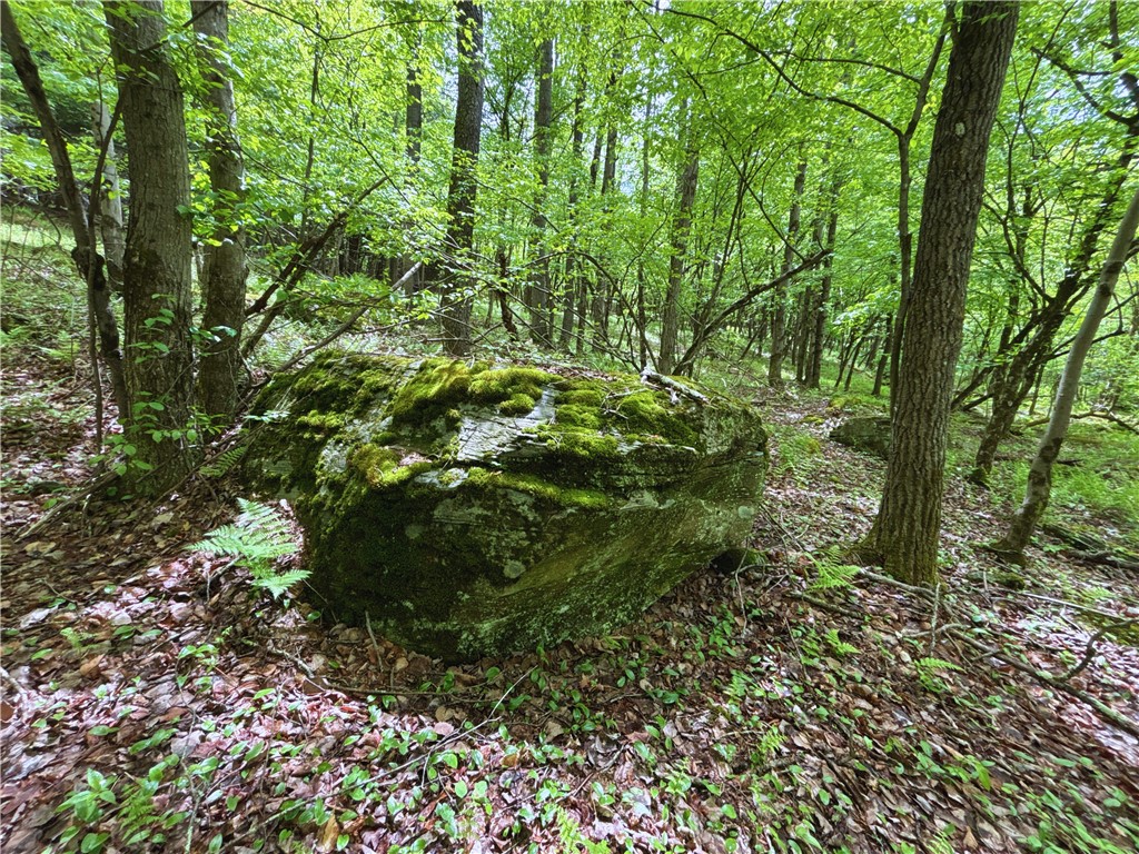 Lot 6.2 Launt Hollow Road, Hamden, New York image 33