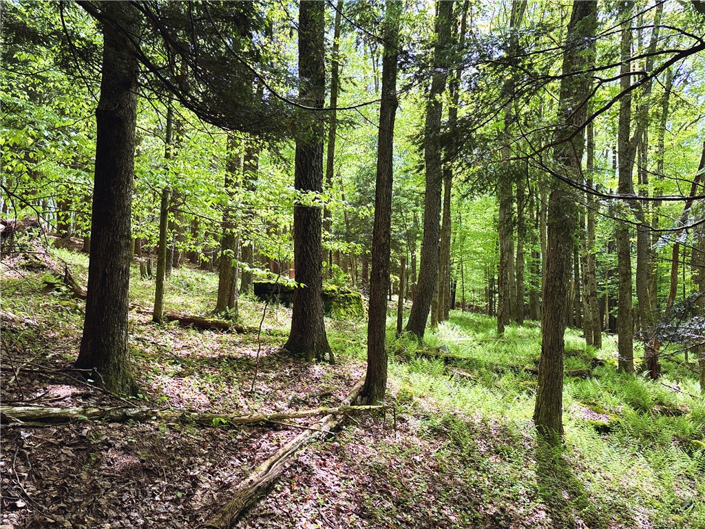 Lot 6.2 Launt Hollow Road, Hamden, New York image 34