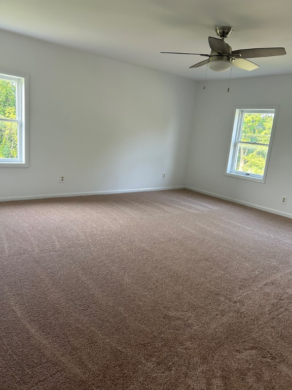 5055 Buck Hill Road, Hector, New York image 41