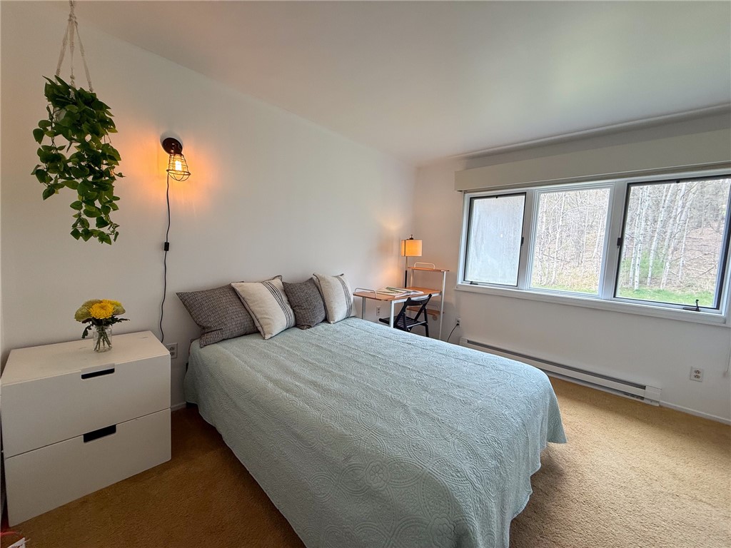130 Pines Drive #5-9, Roxbury, New York image 25