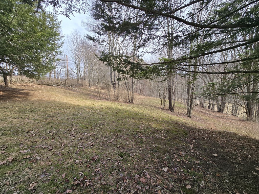 893 County Highway 2, Hamden, New York image 8