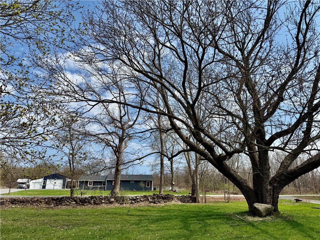 2755 Redman Rd Road, Clarkson, New York image 7