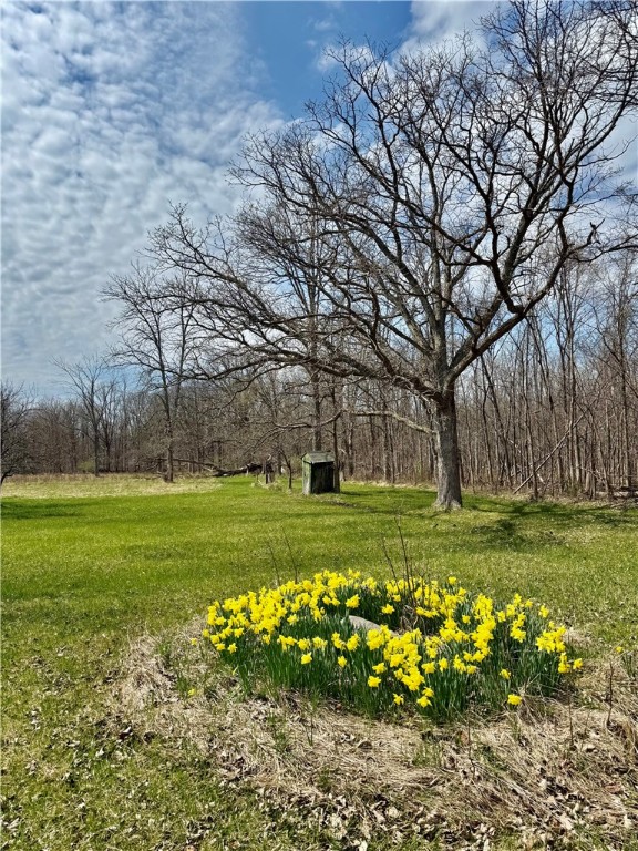 2755 Redman Rd Road, Clarkson, New York image 6