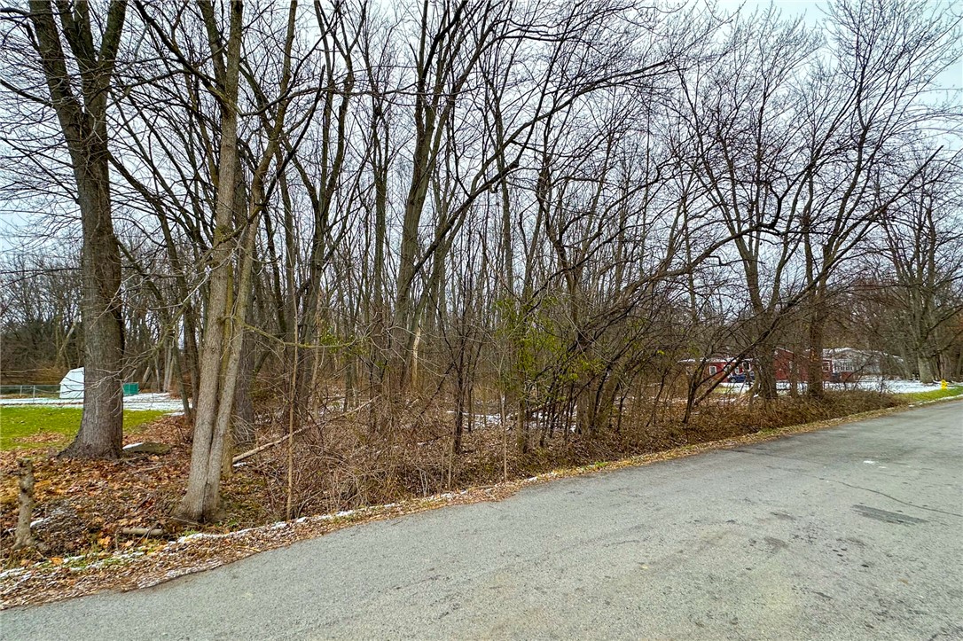 Lot A Delaware Avenue, Brighton, New York image 1