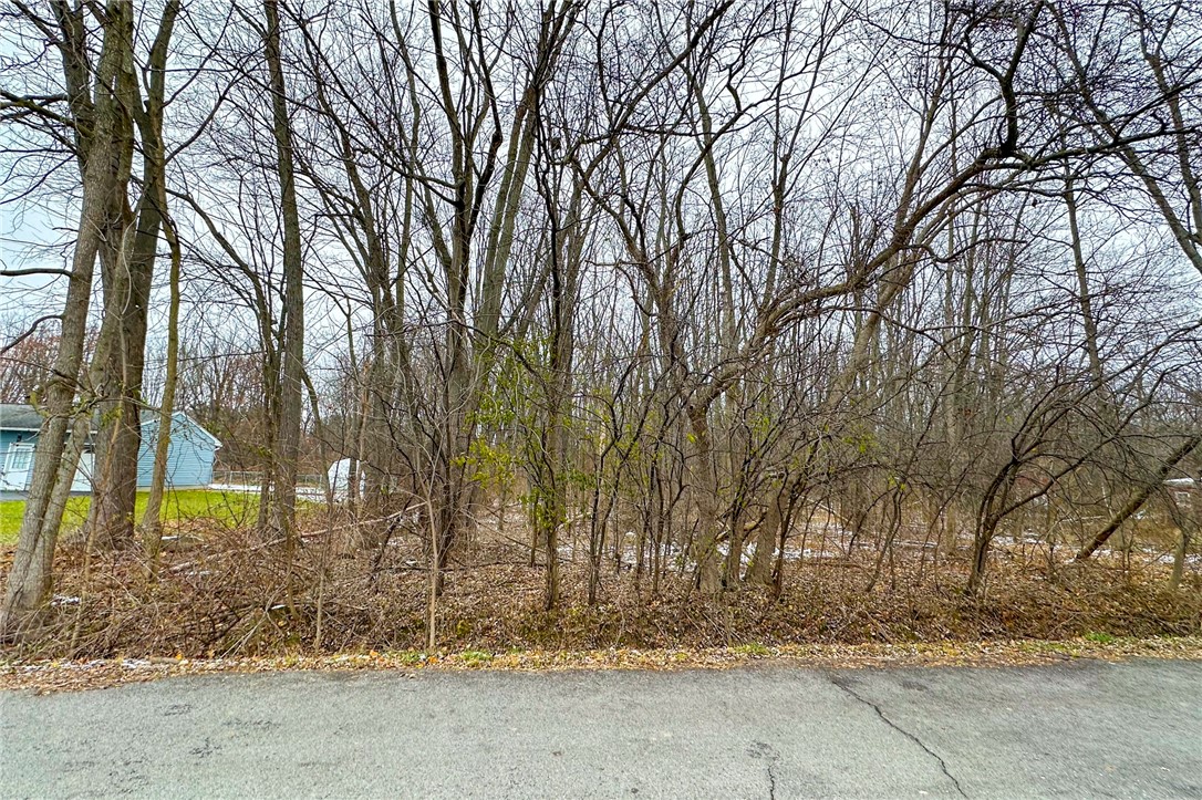 Lot A Delaware Avenue, Brighton, New York image 5