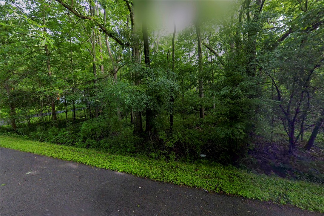 Lot A Delaware Avenue, Brighton, New York image 2