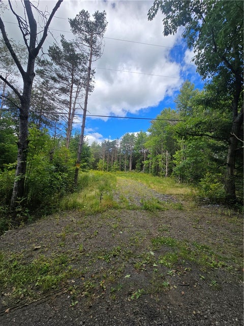 Photo for 213 Geiss Road