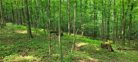 Vacant Land For Sale - Hagerman<br/> Chemung, NY 14892