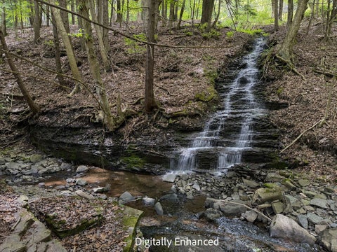 Tiny photo for 5 Ravine Park N, Oneonta, NY 13820 (MLS # R1686023)