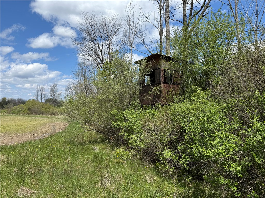 Oakland Road