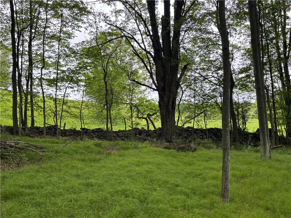 1294 Peters Road, Harpersfield, New York image 15