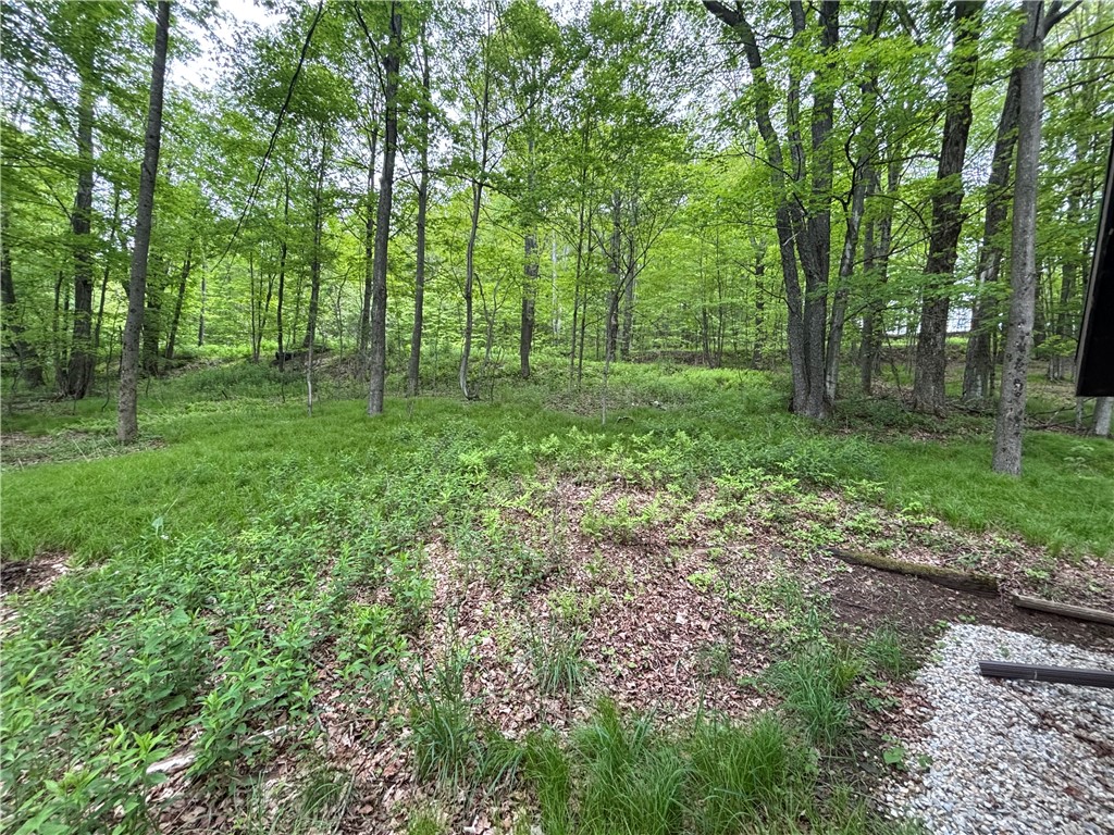 1294 Peters Road, Harpersfield, New York image 14